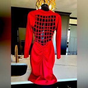 A-5 Brick Red Long Sleeve Dress with Back Design